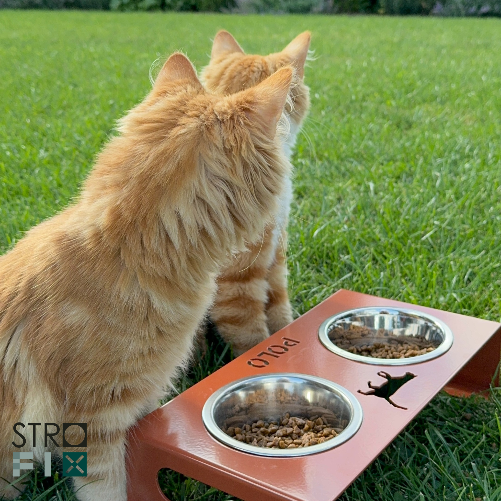 Animal feeding tray, 350x180x80mm - StroFIX